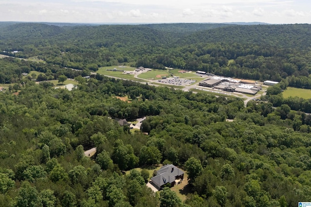 175 Sunhill Rd, Remlap, AL 35133 - aerial view of a heavily wooded area