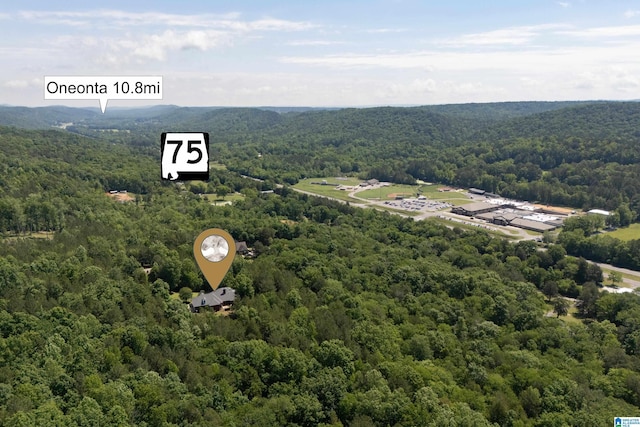 175 Sunhill Rd, Remlap, AL 35133 - drone / aerial view of a heavily wooded area