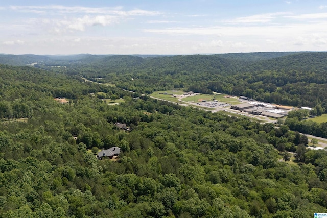175 Sunhill Rd, Remlap, AL 35133 - drone / aerial view of a forest