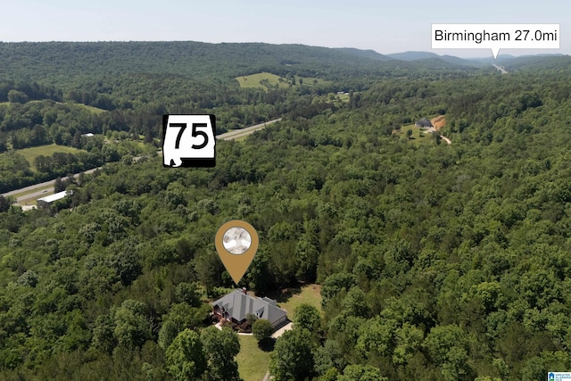 175 Sunhill Rd, Remlap, AL 35133 - bird's eye view of a heavily wooded area