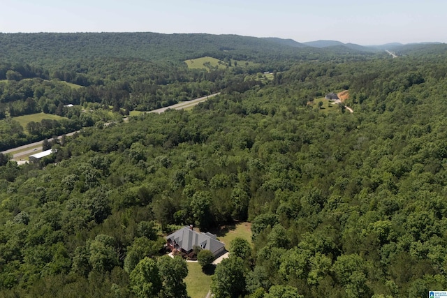 175 Sunhill Rd, Remlap, AL 35133 - view of property location with a forest