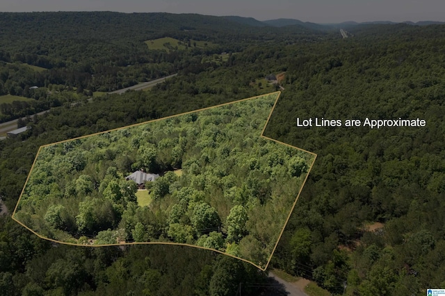 175 Sunhill Rd, Remlap, AL 35133 - aerial view of property and surrounding area with a heavily wooded area and property boundaries highlighted