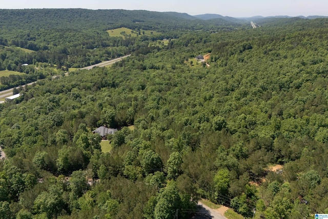 175 Sunhill Rd, Remlap, AL 35133 - view of property location with a forest and mountains