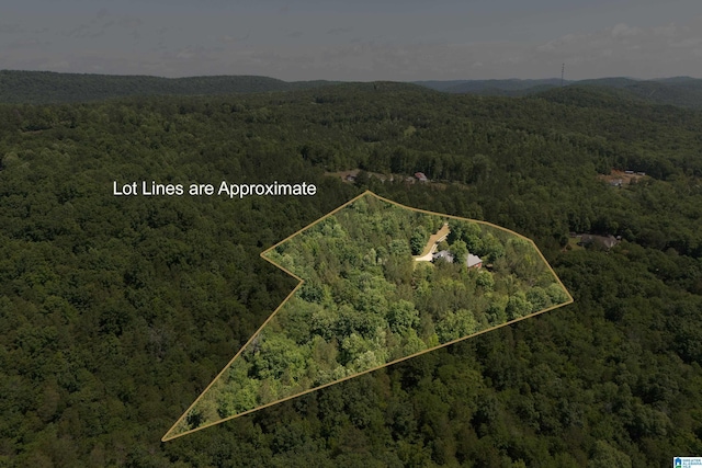 175 Sunhill Rd, Remlap, AL 35133 - aerial view of property and surrounding area featuring a forest and property parcel outlined