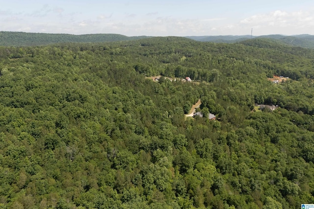 175 Sunhill Rd, Remlap, AL 35133 - drone / aerial view of a forest