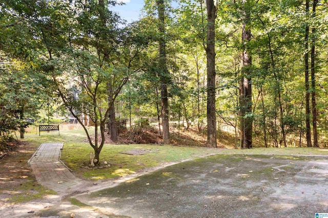 3400 Autumn Haze Ln, Birmingham, AL 35242 - view of green lawn