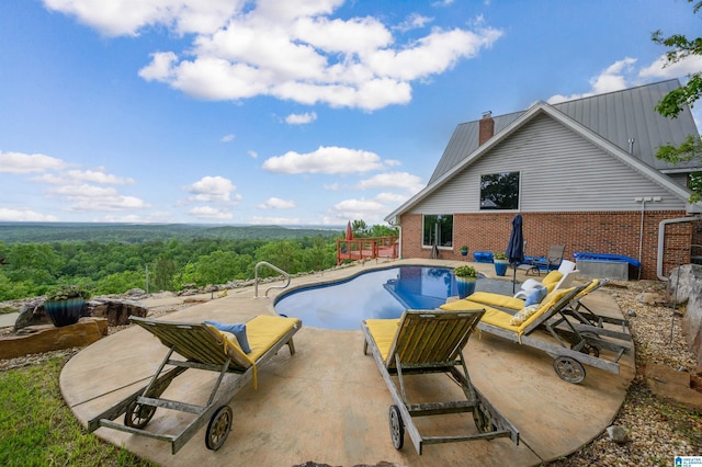 327 Ridgeview Lake Rd, Alabaster, AL 35007 - view of pool featuring a patio, an empty pool, and a view of trees