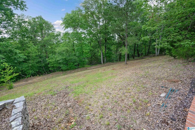 327 Ridgeview Lake Rd, Alabaster, AL 35007 - view of yard