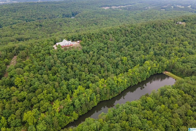 327 Ridgeview Lake Rd, Alabaster, AL 35007 - aerial view of a heavily wooded area and a large body of water