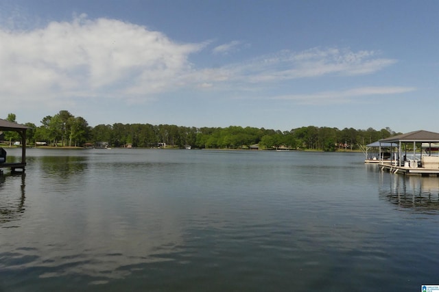water view featuring a dock