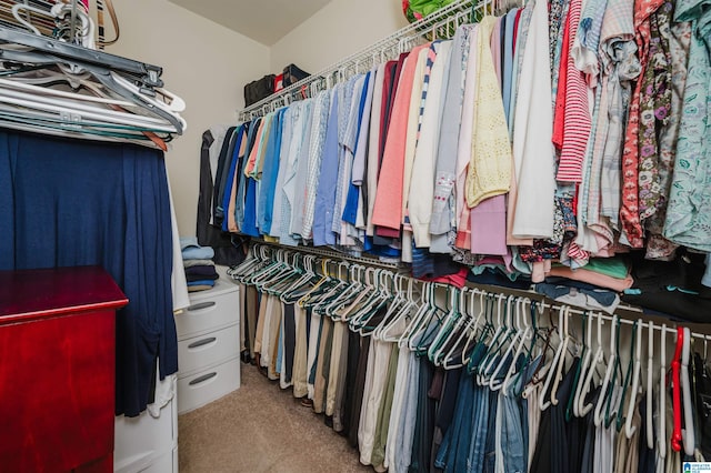 spacious closet with carpet