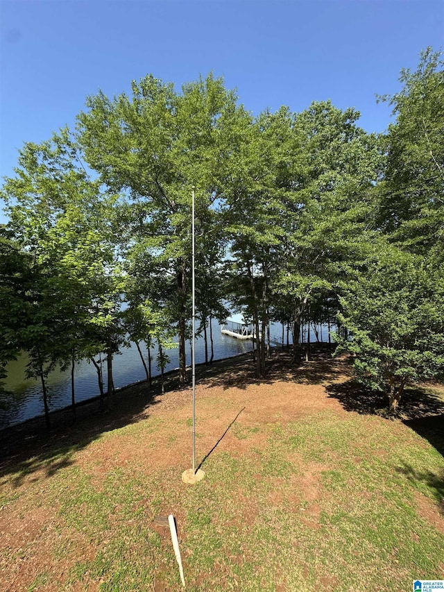 view of yard with a water view