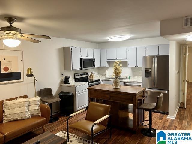 1329 31st St Unit C, Birmingham, AL 35205 - kitchen with appliances with stainless steel finishes, light countertops, dark wood-style floors, a ceiling fan, and a sink