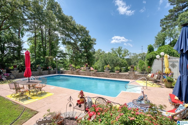 179 Idlewood Cir, Alexandria, AL 36250 - view of pool featuring a patio