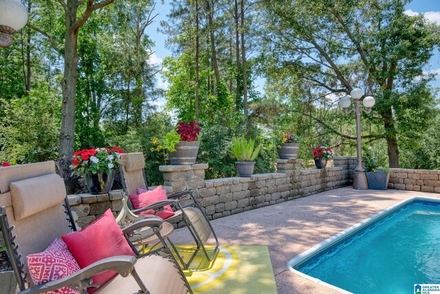 179 Idlewood Cir, Alexandria, AL 36250 - outdoor pool featuring a patio