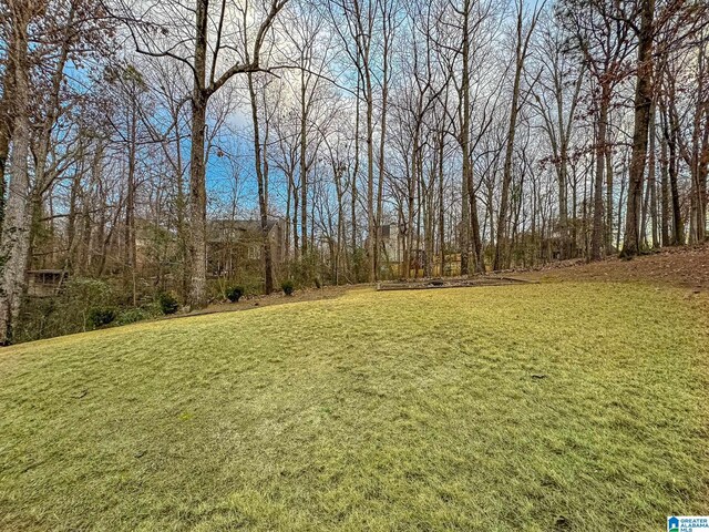 1851 Russet Woods Ln, Hoover, AL 35244 - view of green lawn