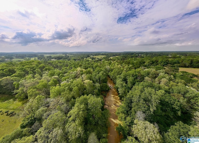 9.10ACRES Pleasant Grove Rd Unit 0, Horton, AL 35980