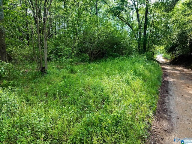 9.10ACRES Pleasant Grove Rd Unit 0, Horton, AL 35980