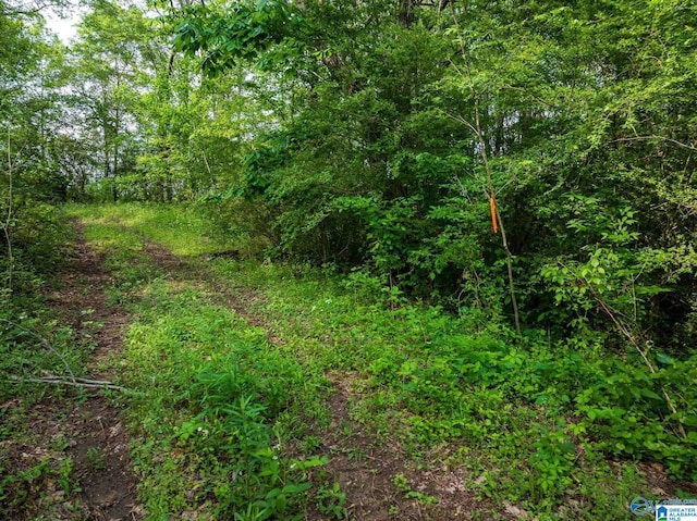 9.10ACRES Pleasant Grove Rd Unit 0, Horton, AL 35980