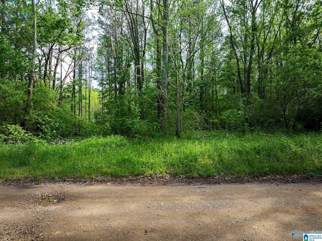 9.10ACRES Pleasant Grove Rd Unit 0, Horton, AL 35980