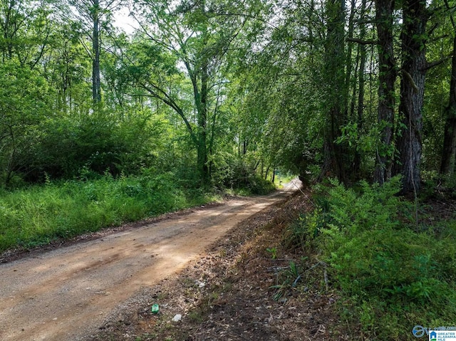 9.10ACRES Pleasant Grove Rd Unit 0, Horton, AL 35980