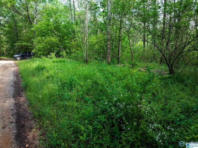 9.10ACRES Pleasant Grove Rd Unit 0, Horton, AL 35980