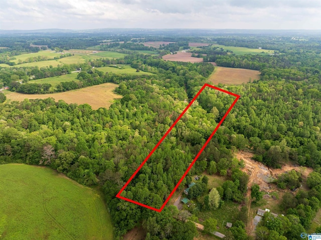 9.10ACRES Pleasant Grove Rd Unit 0, Horton, AL 35980