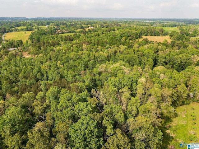 9.10ACRES Pleasant Grove Rd Unit 0, Horton, AL 35980