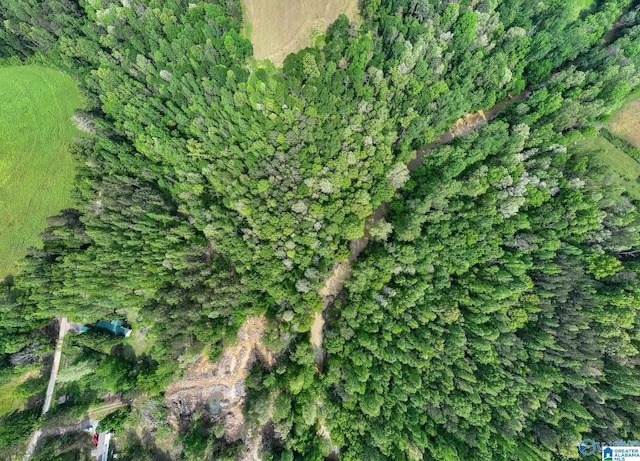 9.10ACRES Pleasant Grove Rd Unit 0, Horton, AL 35980