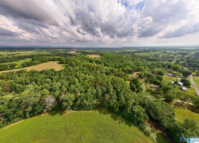 9.10ACRES Pleasant Grove Rd Unit 0, Horton, AL 35980