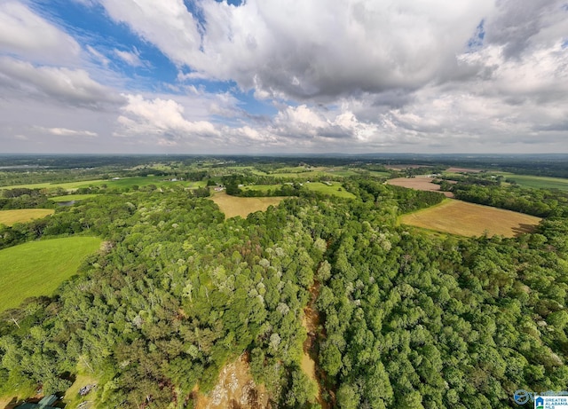 9.10ACRES Pleasant Grove Rd Unit 0, Horton, AL 35980