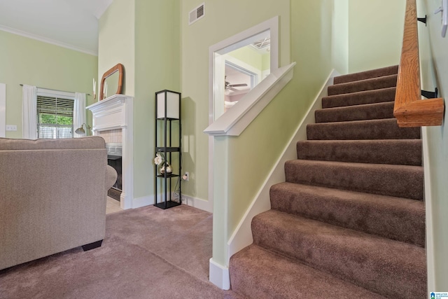 142 Falling Waters Ln, Maylene, AL 35114 - stairs with carpet flooring, ornamental molding, and baseboards
