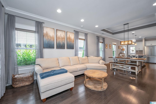 3951 Crest Lndg, Irondale, AL 35210 - living area featuring ornamental molding, dark wood finished floors, recessed lighting, and a raised ceiling