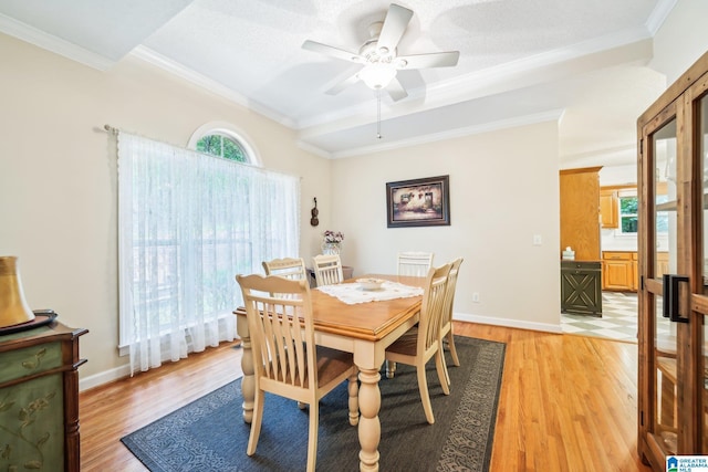 8526 Scenic Ridge Dr, Pinson, AL 35126 - dining area featuring light wood finished floors, ceiling fan, ornamental molding, and baseboards