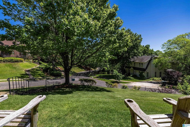2520 Lanark Rd, Birmingham, AL 35223 - view of yard
