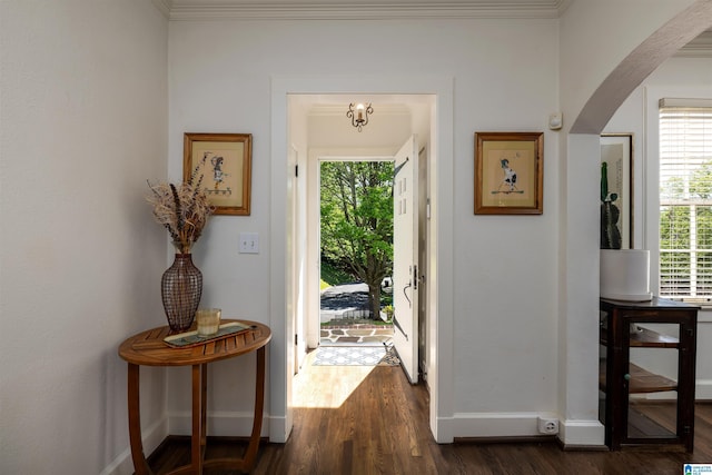 2520 Lanark Rd, Birmingham, AL 35223 - entryway featuring arched walkways, baseboards, dark wood-style floors, healthy amount of natural light, and crown molding