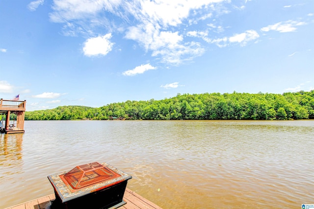 dock area featuring a water view and a view of trees