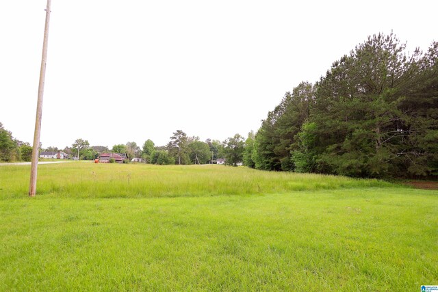 1619 Websters Chapel Rd, Wellington, AL 36279 - view of yard