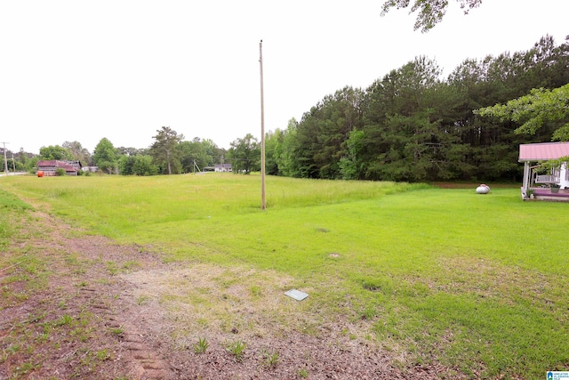 1619 Websters Chapel Rd, Wellington, AL 36279 - view of green lawn