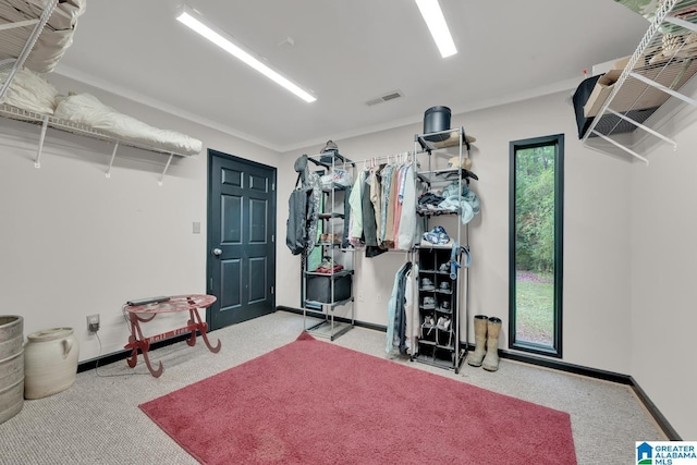 4150 County Highway 13, Locust Fork, AL 35097 - walk in closet with carpet