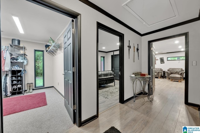 4150 County Highway 13, Locust Fork, AL 35097 - corridor featuring crown molding, plenty of natural light, baseboards, and light wood-style floors
