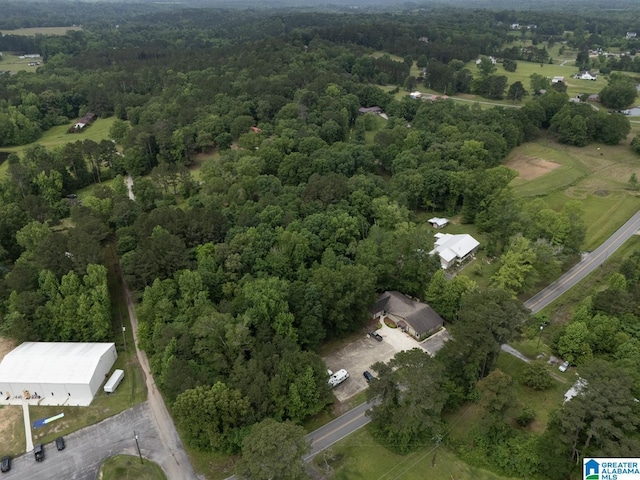 4150 County Highway 13, Locust Fork, AL 35097 - aerial view of a forest