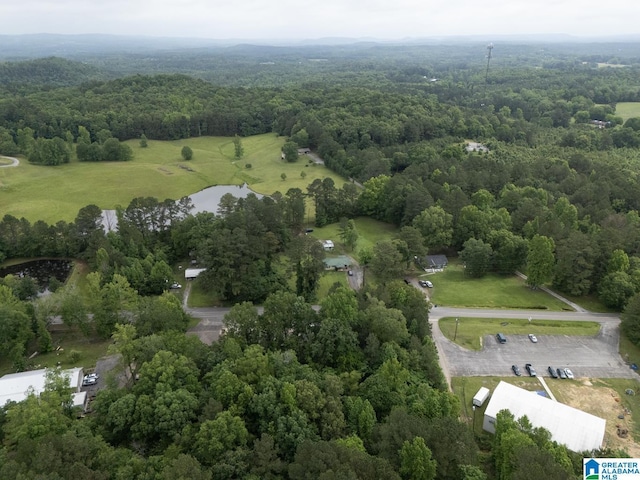 4150 County Highway 13, Locust Fork, AL 35097 - drone / aerial view of a heavily wooded area and a large body of water
