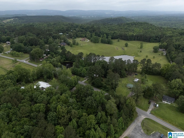 4150 County Highway 13, Locust Fork, AL 35097 - aerial view of property's location featuring a forest
