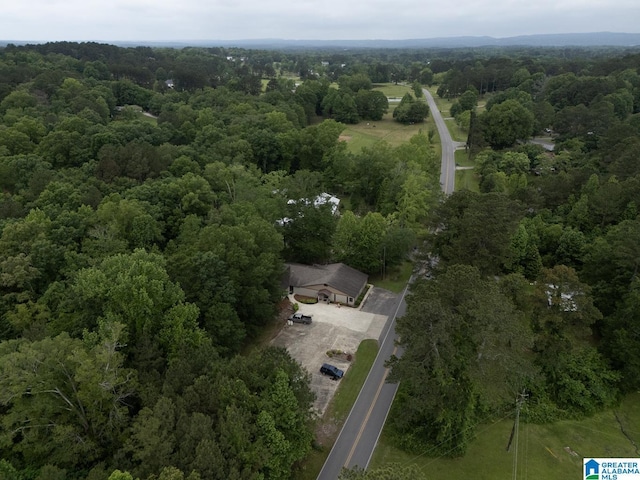 4150 County Highway 13, Locust Fork, AL 35097 - aerial view of a heavily wooded area
