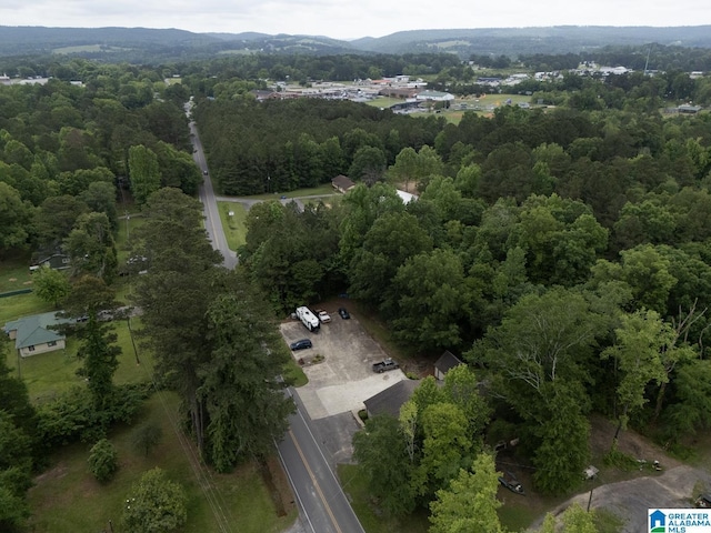 4150 County Highway 13, Locust Fork, AL 35097 - drone / aerial view of a heavily wooded area