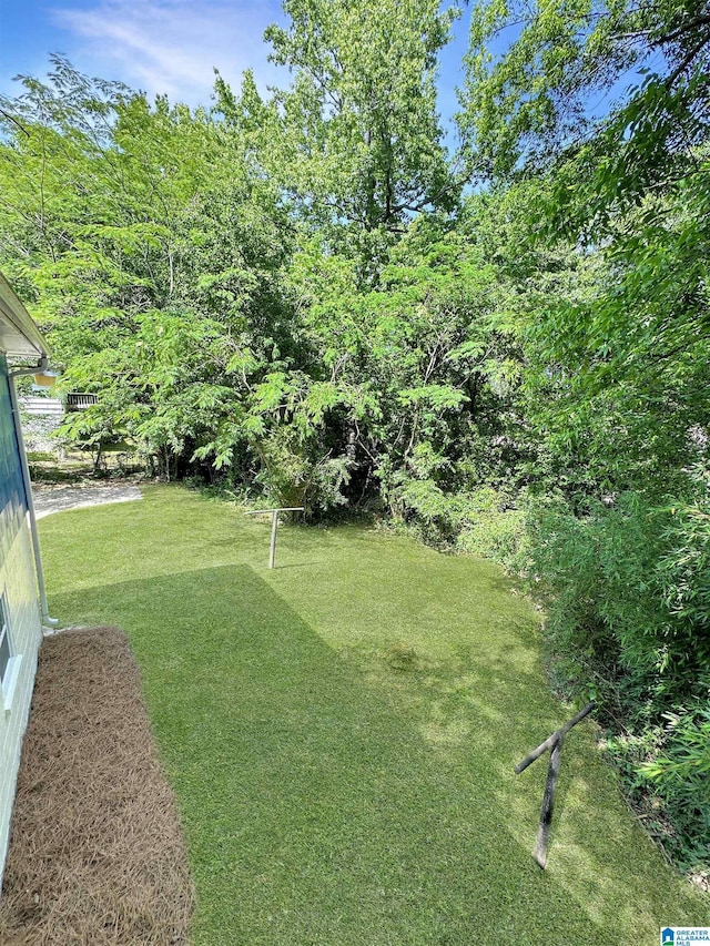 view of green lawn