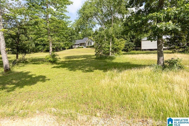 105 Mountain View Ln, Springville, AL 35146 - view of green lawn