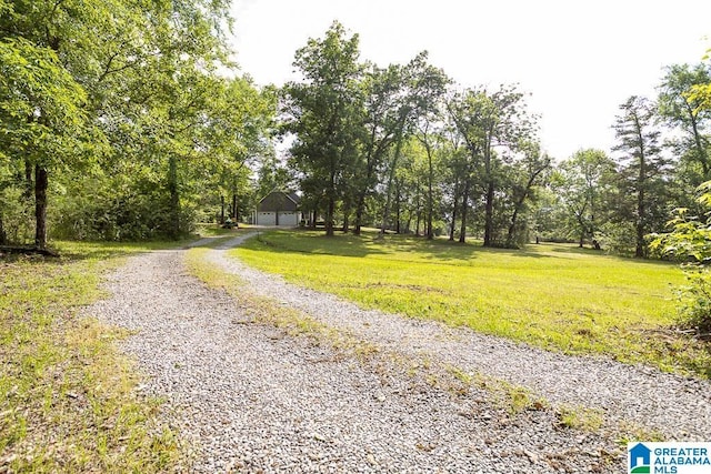 105 Mountain View Ln, Springville, AL 35146 - view of dirt / gravel road
