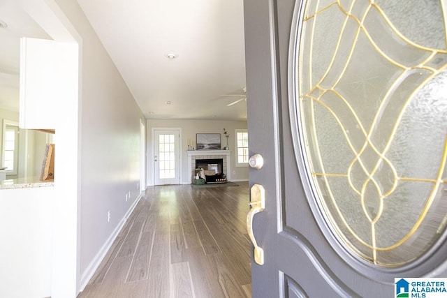 105 Mountain View Ln, Springville, AL 35146 - entrance foyer with dark wood-style flooring, a fireplace, and baseboards